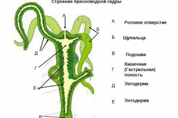 Kraken официальный сайт