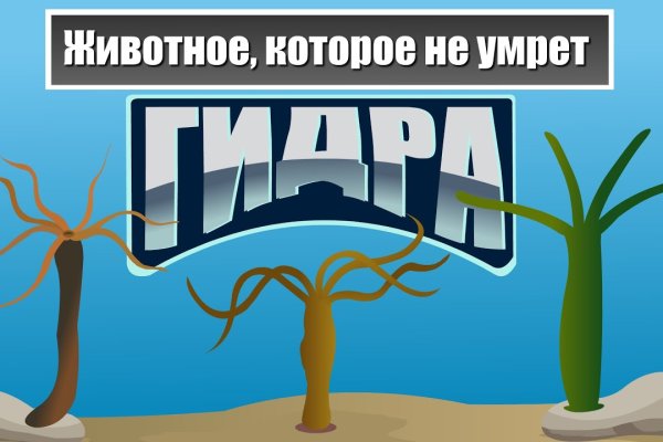 Кракен онион зеркало